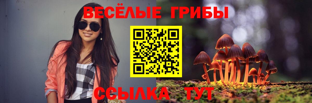 Псилоцибиновые грибы ЛСД  Вход с VPN  Владимир 